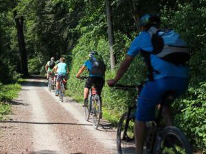 Niagara On The Lake Group Cycling Tour